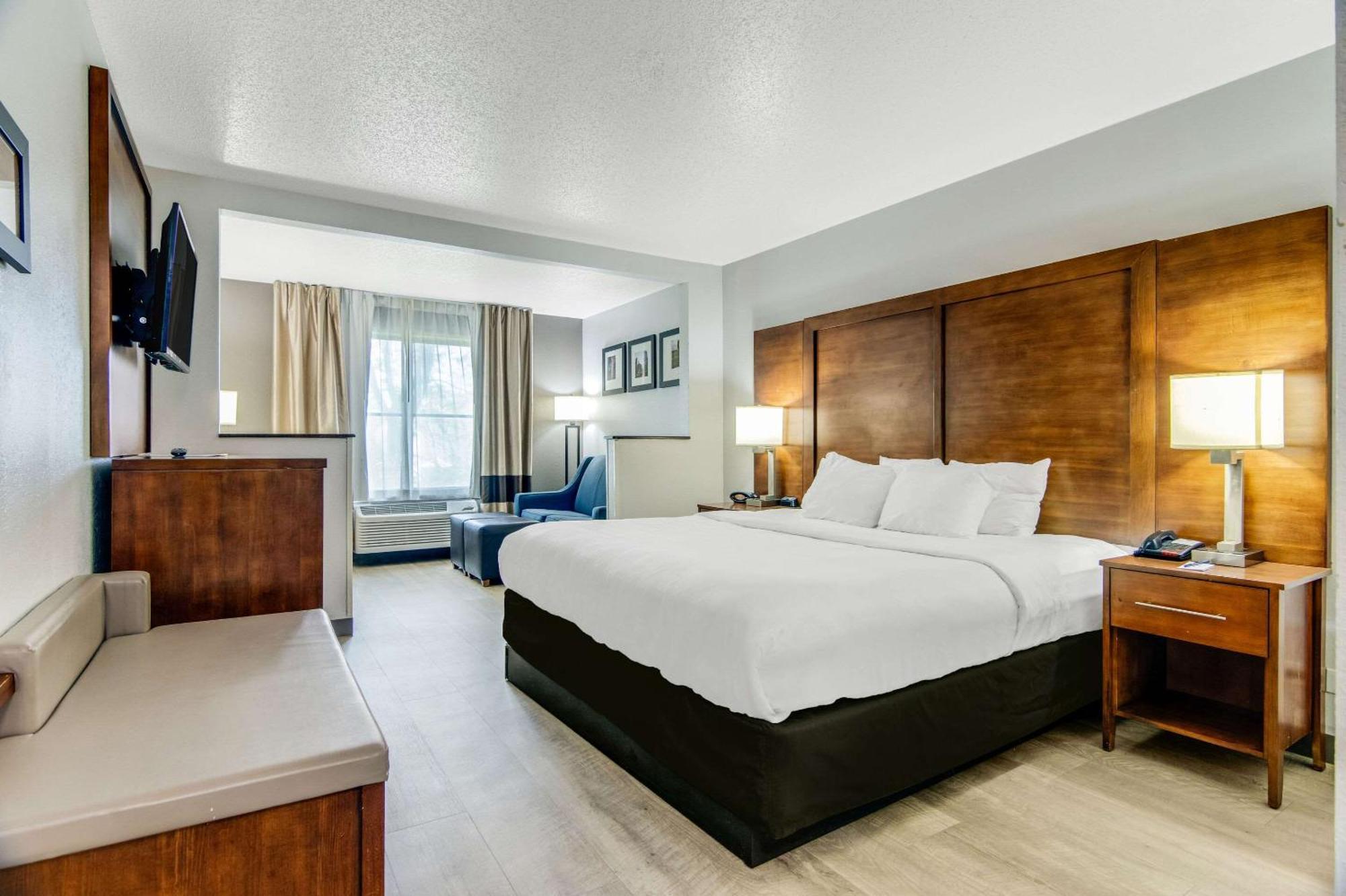 Comfort Suites Near I-80 And I-94 Лансінґ Екстер'єр фото